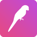 PaletteParrot